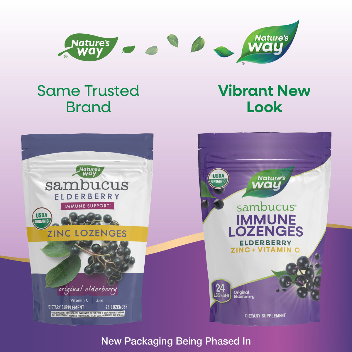 <{%MAIN13_10220%}>Nature's Way® | Sambucus Immune Lozenges