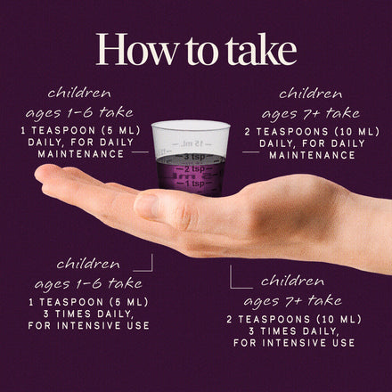 Sambucus Organic Traditional Elderberry Immune Syrup for Kids Supplement Facts