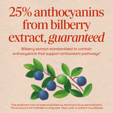 <{%MAIN9_60510%}>Nature's Way® | Bilberry