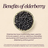 <{%MAIN3_12961%}>Nature's Way® | Sambucus Elderberry Kids Immune Chewable