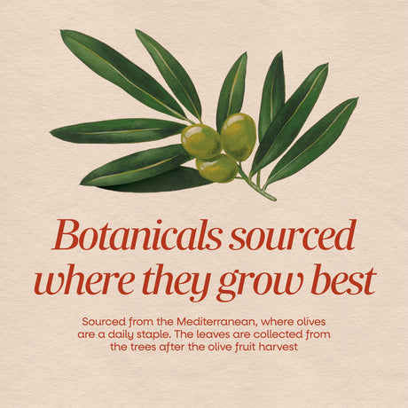 <{%MAIN2_64000%}>Nature's Way® | Olive Leaf Standardized Extract