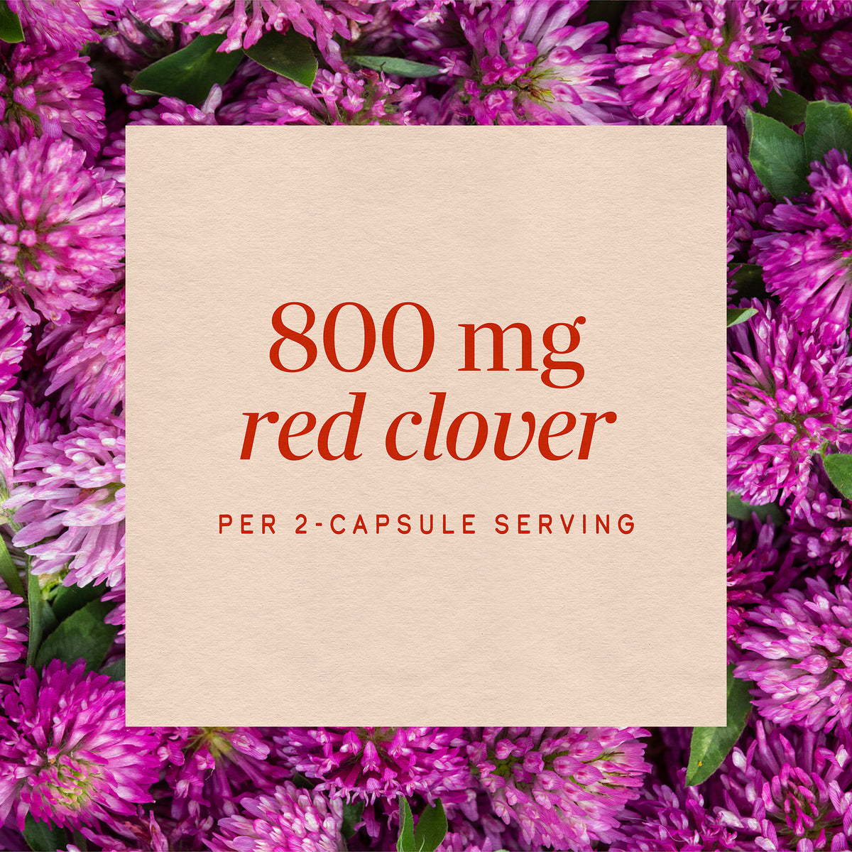 <{%MAIN3_16000%}>Nature's Way® | Red Clover Blossom / Herb