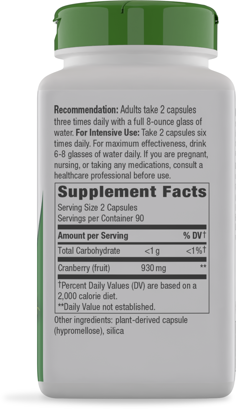 <{%360IMAGE5_15361%}>Nature's Way® | Cranberry Fruit - right side of pack