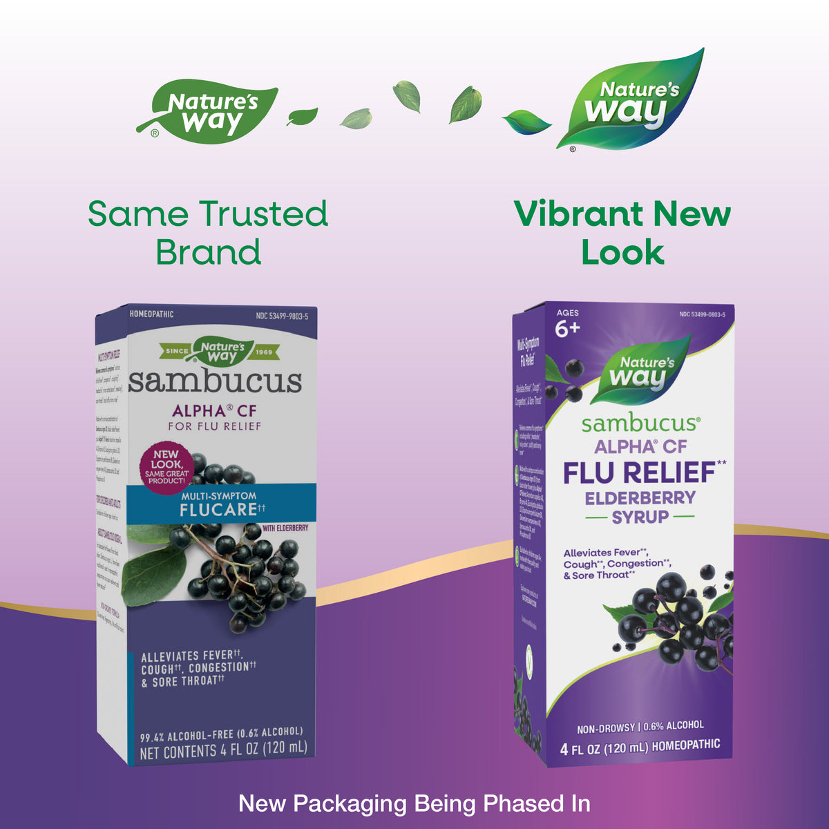 <{%MAIN1_15803%}>Nature's Way® | Sambucus Flu Relief** Elderberry Syrup - package updates old to new