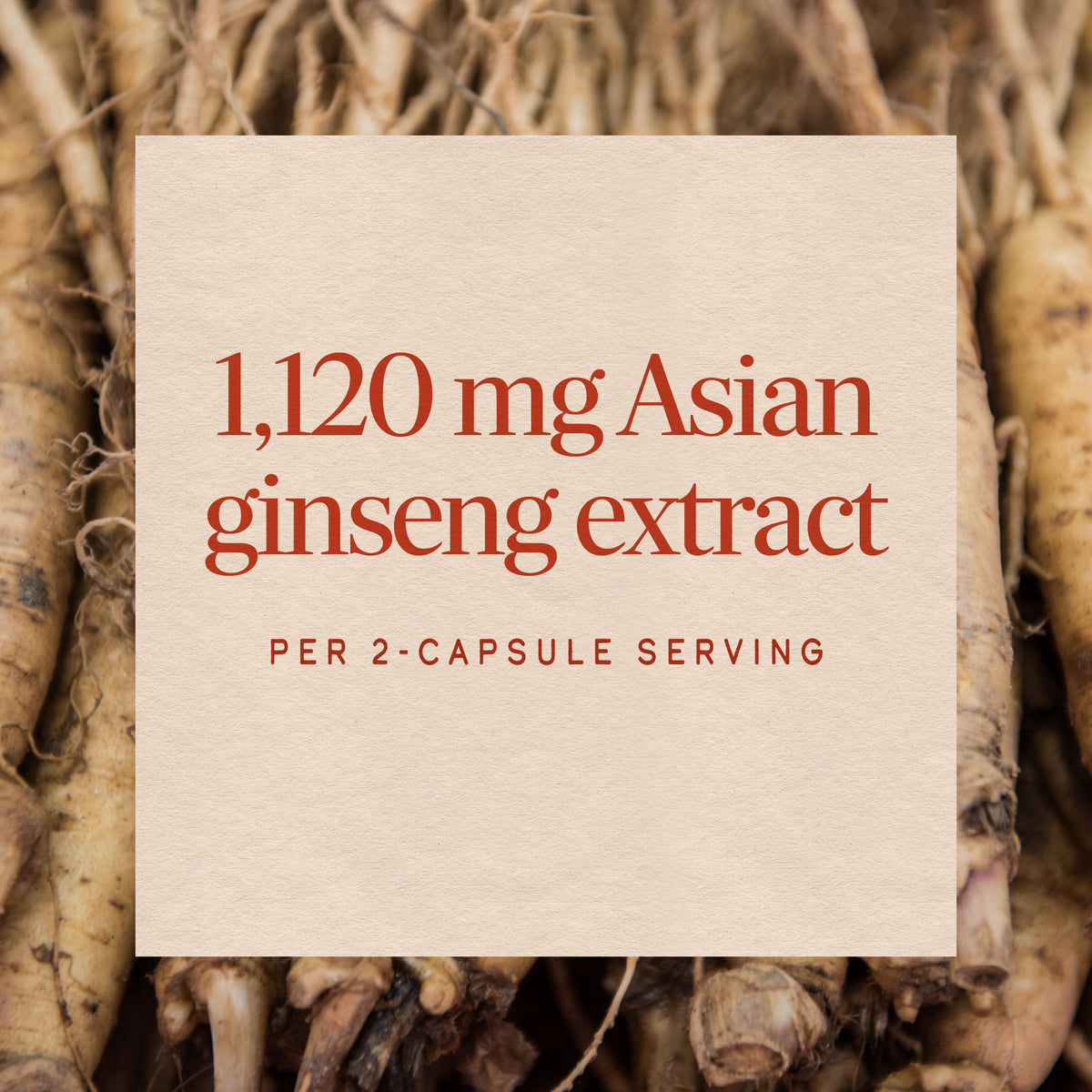 <{%MAIN3_13400%}>Nature's Way® | Asian Ginseng