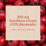 <{%MAIN3_61900%}>Nature's Way® | Hawthorn Standardized Extract