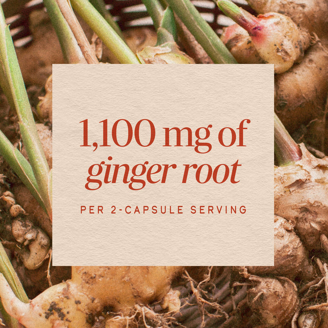 <{%MAIN8_13100%}>Nature's Way® | Ginger Root
