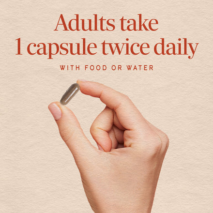 Horse Chestnut Supplement Facts