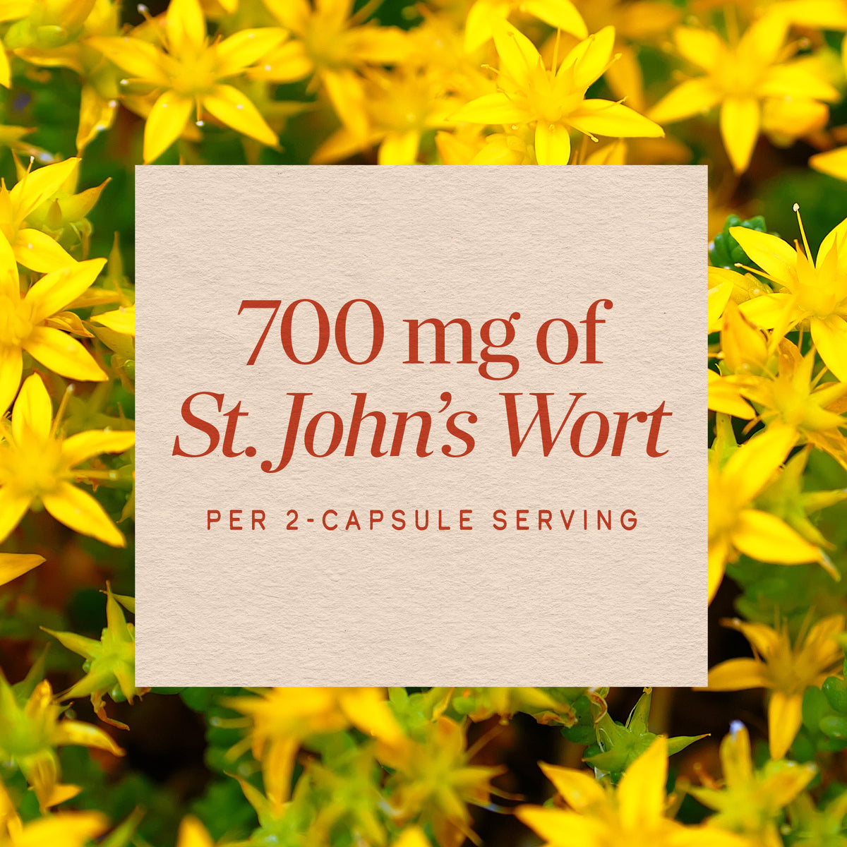 <{%MAIN10_17300%}>Nature's Way® | St. John's Wort Herb