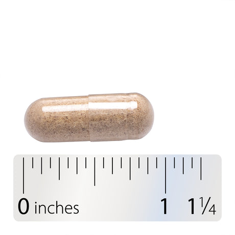 <{%360IMAGE8_13500%}>Nature's Way® | Siberian Eleuthero Root - Capsule and ruler