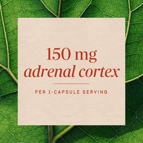<{%MAIN3_04085%}>Nature's Way® | ADRENergize Adrenal Support