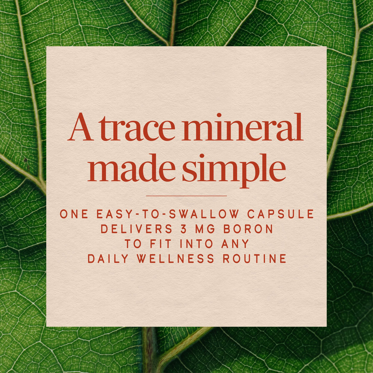 <{%MAIN3_41101%}>Nature's Way® | Boron Complex