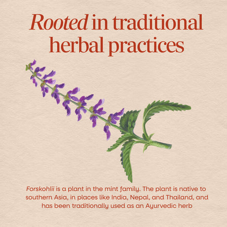 <{%MAIN2_10006%}>Nature's Way® | Forskohlii Standardized Extract
