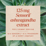 <{%MAIN3_13983%}>Nature's Way® | Ashwagandha Gummies