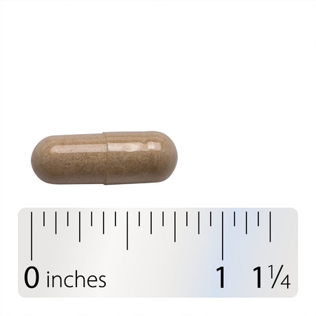 <{%360IMAGE4_02440%}>Nature's Way® | CompleteGest - Capsule and ruler
