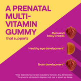 <{%MAIN2_10482%}>Nature's Way® | Alive! Premium Prenatal Gummies