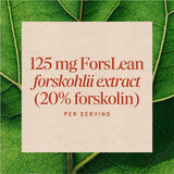 <{%MAIN3_10006%}>Nature's Way® | Forskohlii Standardized Extract