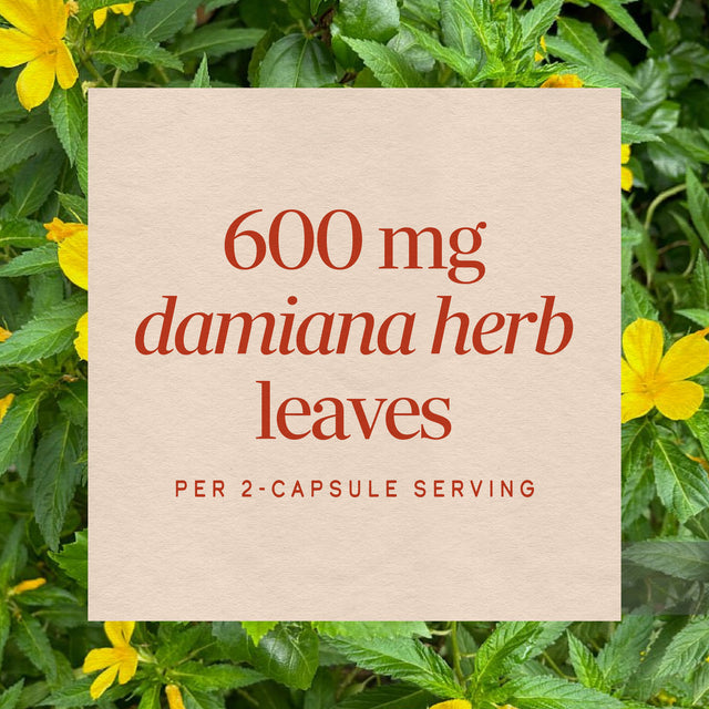 <{%MAIN3_12200%}>Nature's Way® | Damiana Leaves