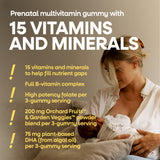 <{%MAIN3_10482%}>Nature's Way® | Alive! Premium Prenatal Gummies
