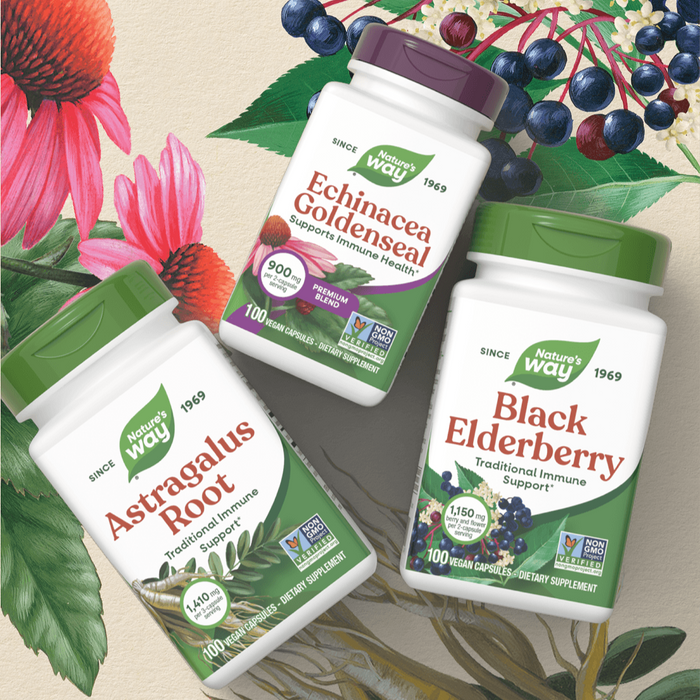 Three Nature's Way dietary supplement bottles arranged on a decorative botanical background: Astragalus Root, Echinacea Goldenseal, and Black Elderberry. The bottles are white with green and purple labels, and the scene includes illustrated flowers and berries.