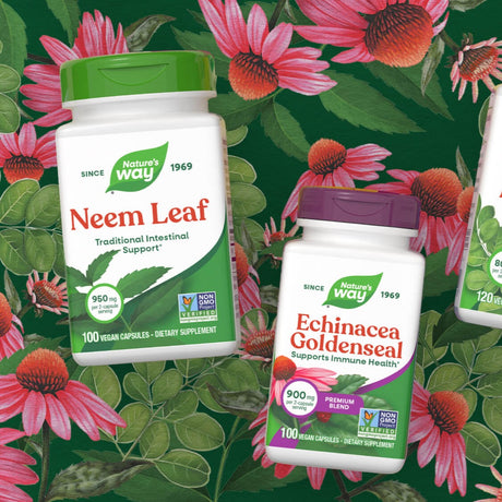 Neem Leaf and Echinacea Goldenseal with Echinacea flowers in the background