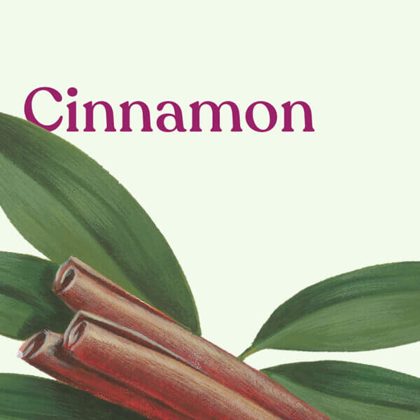 Illustration of cinnamon sticks with leaves and the word 'Cinnamon' above them on a light green background.