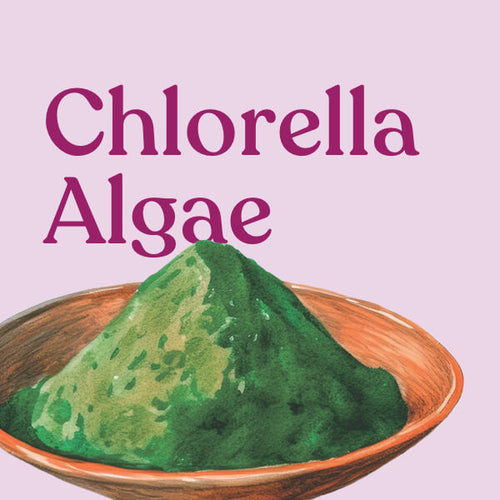 Chlorella