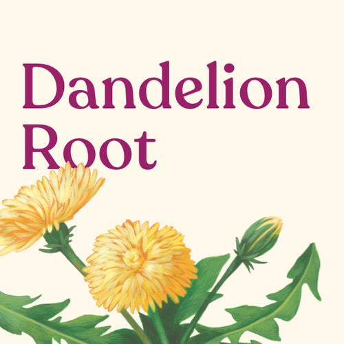 Dandelion Root