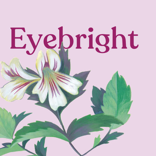 Eyebright
