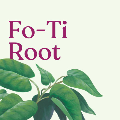 Fo-Ti Root