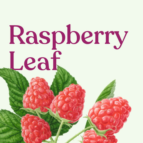 Raspberry Leaf