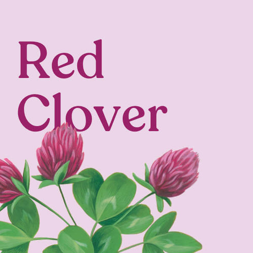 Red Clover