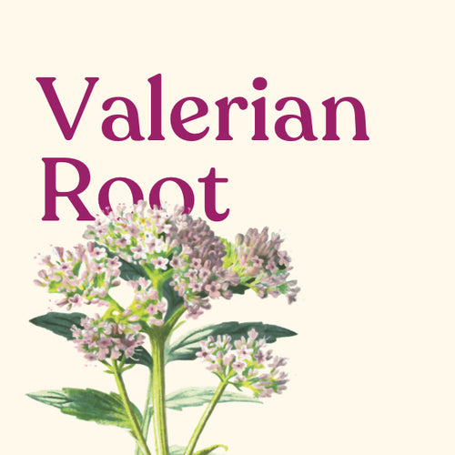 Valerian Root Powder