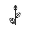 Stem