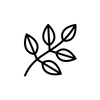 Aerial parts